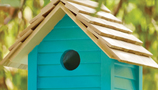 Nest Boxes (1)